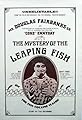 The Mystery of the Leaping Fish's primary photo