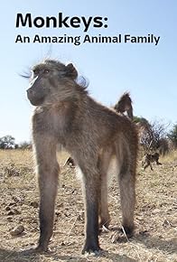 Primary photo for Africa