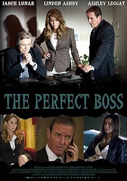 Poster of The Perfect boss