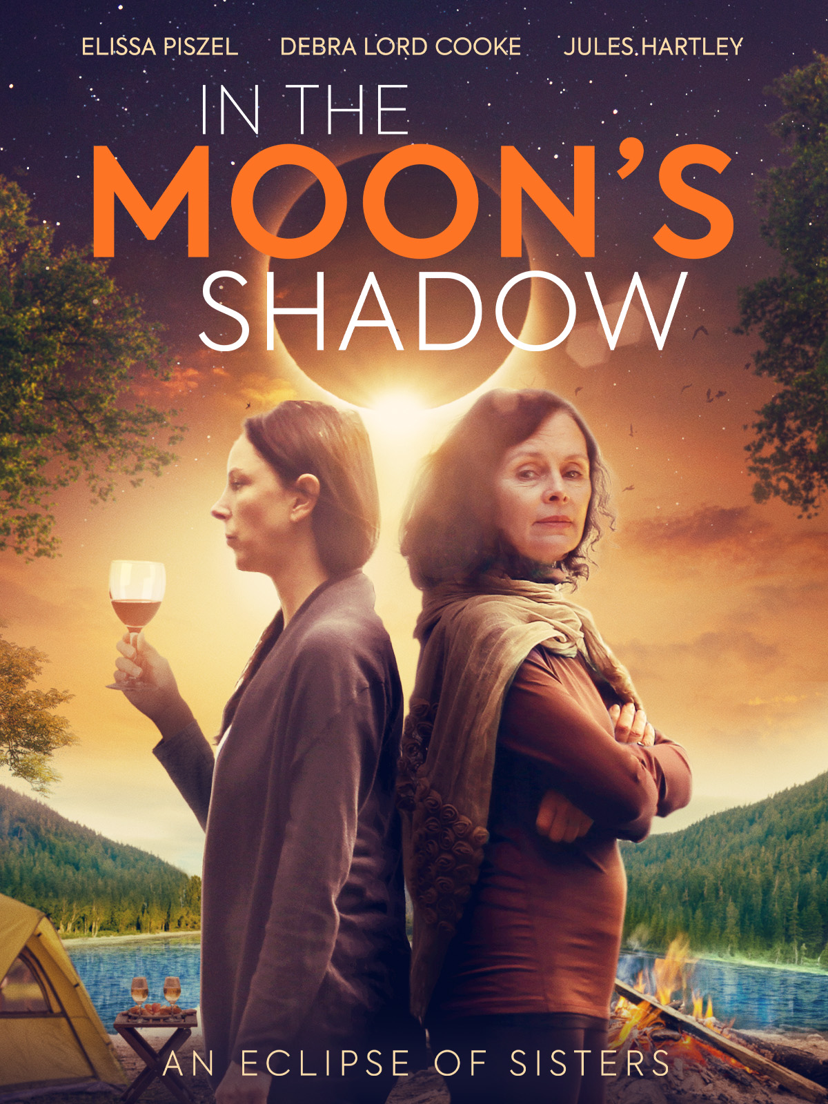 Poster of In the Moon's Shadow
