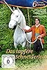 Primary photo for Das tapfere Schneiderlein Primary photo for Das tapfere Schneiderlein