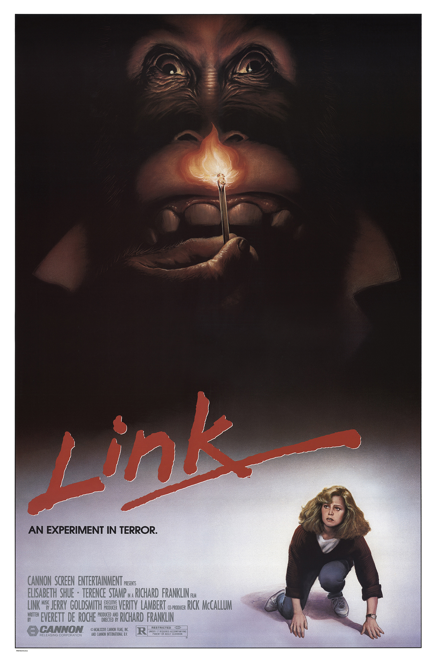 Poster of Link