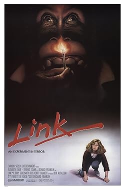 Poster of Link