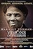 Primary photo for Harriet Tubman: Visions of Freedom Primary photo for Harriet Tubman: Visions of Freedom