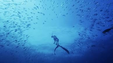 その他 Ocean Odyssey [DVD] Amazon.com: Ocean Odyssey: Blue Realm : None, Danny Mauro