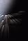 Volcanoes of the Solar System's primary photo
