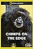 Primary photo for Chimps on the Edge