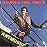Primary photo for Adam and the Ants: Antmusic