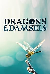 Primary photo for Dragons & Damsels