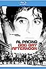 Primary photo for 'Dog Day Afternoon': The Story Primary photo for 'Dog Day Afternoon': The Story