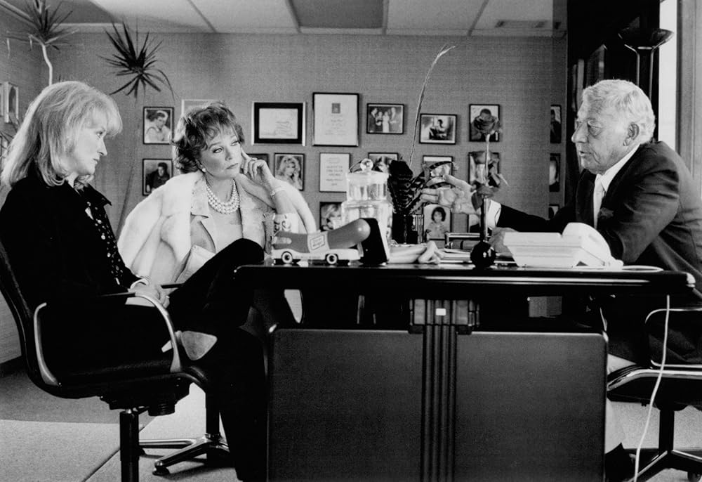 Postcards from the Edge (1990)