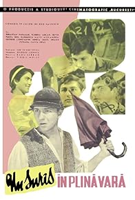 Primary photo for Un surîs în plina vara