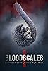 Primary photo for Blood Scales