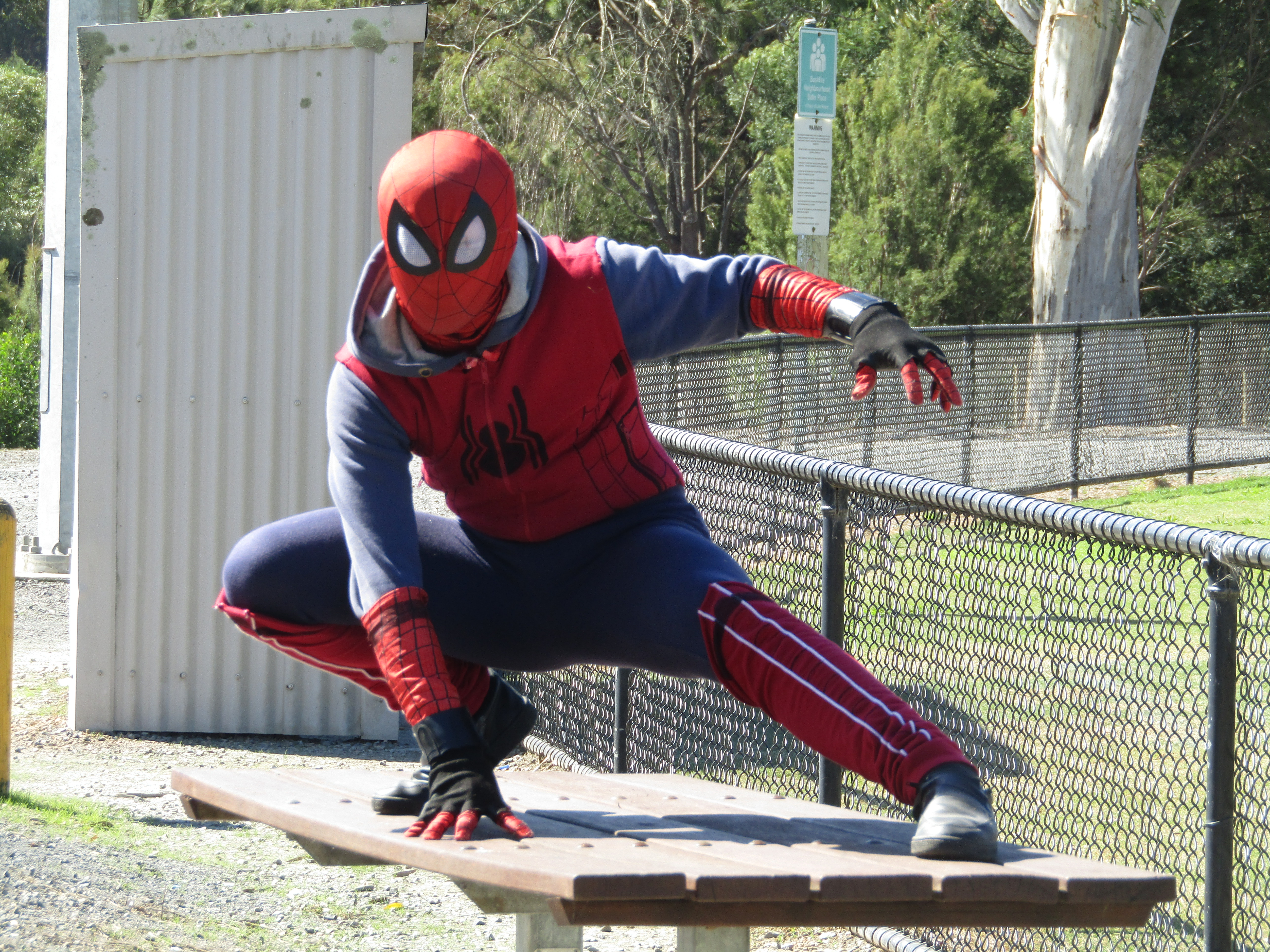 Spider-Man: Preliminary