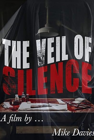 Primary photo for The Veil of Silence Primary photo for The Veil of Silence