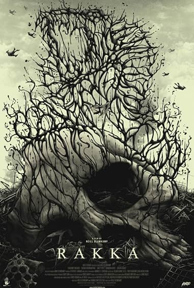 Rakka 2017