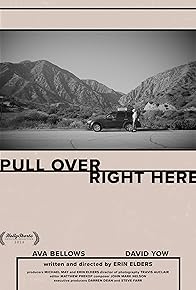 Primary photo for Pull Over Right Here