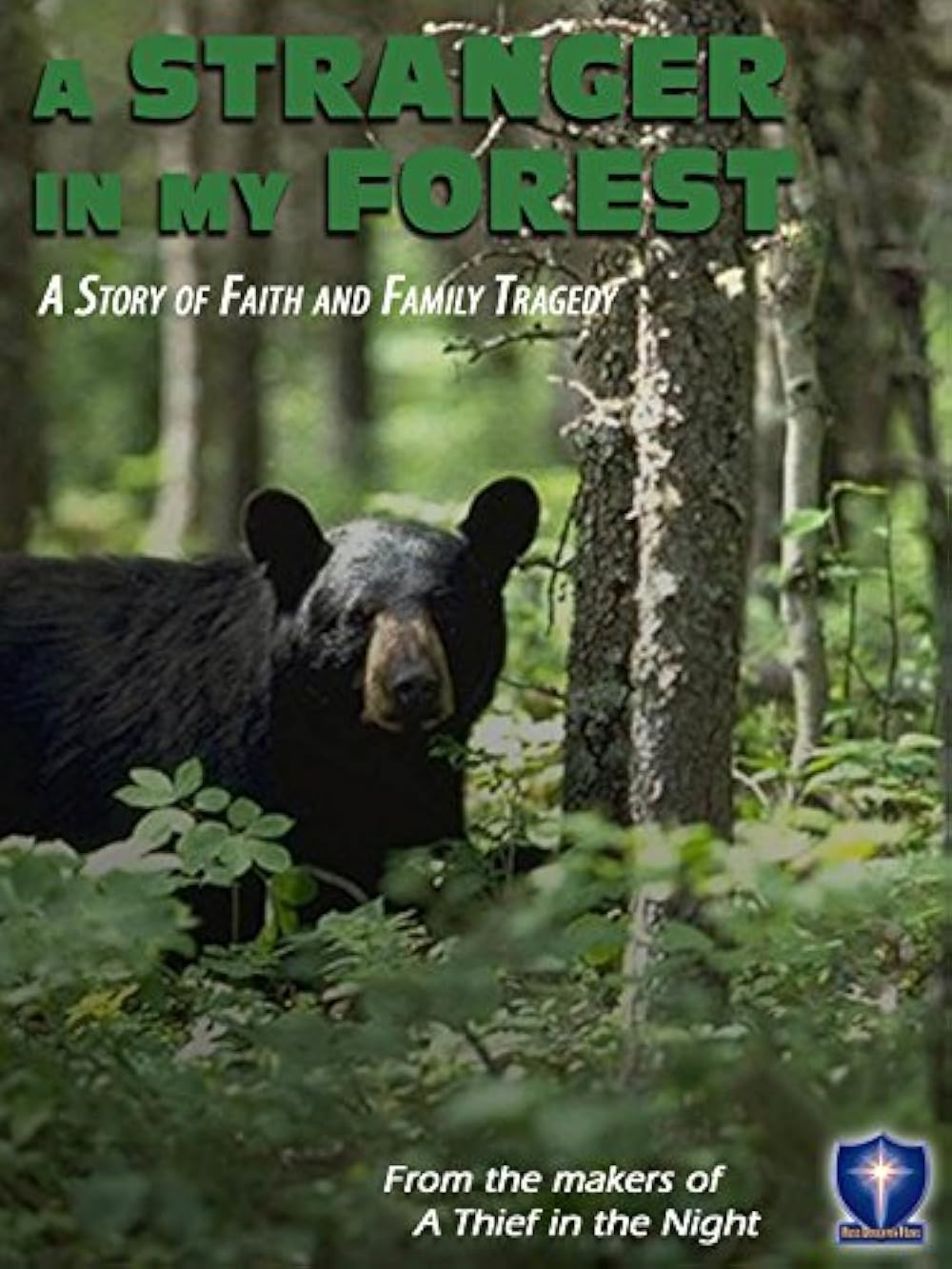 大畠雅人 Into the dark forest （1/8） you-are-alone-in-the-forest-