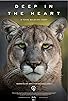 Primary photo for Deep in the Heart: A Texas Wildlife Story Primary photo for Deep in the Heart: A Texas Wildlife Story