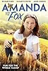 Primary photo for Amanda and the Fox Primary photo for Amanda and the Fox