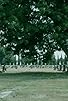Primary photo for Dreams of Solace Primary photo for Dreams of Solace