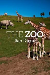 Primary photo for The Zoo: San Diego Primary photo for The Zoo: San Diego