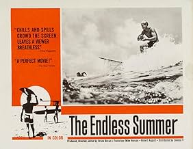 高橋徹也 - The Endless Summer 51TLoUJnnML._SY200_QL15_.jpg