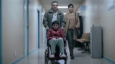 पोस्टर देखें