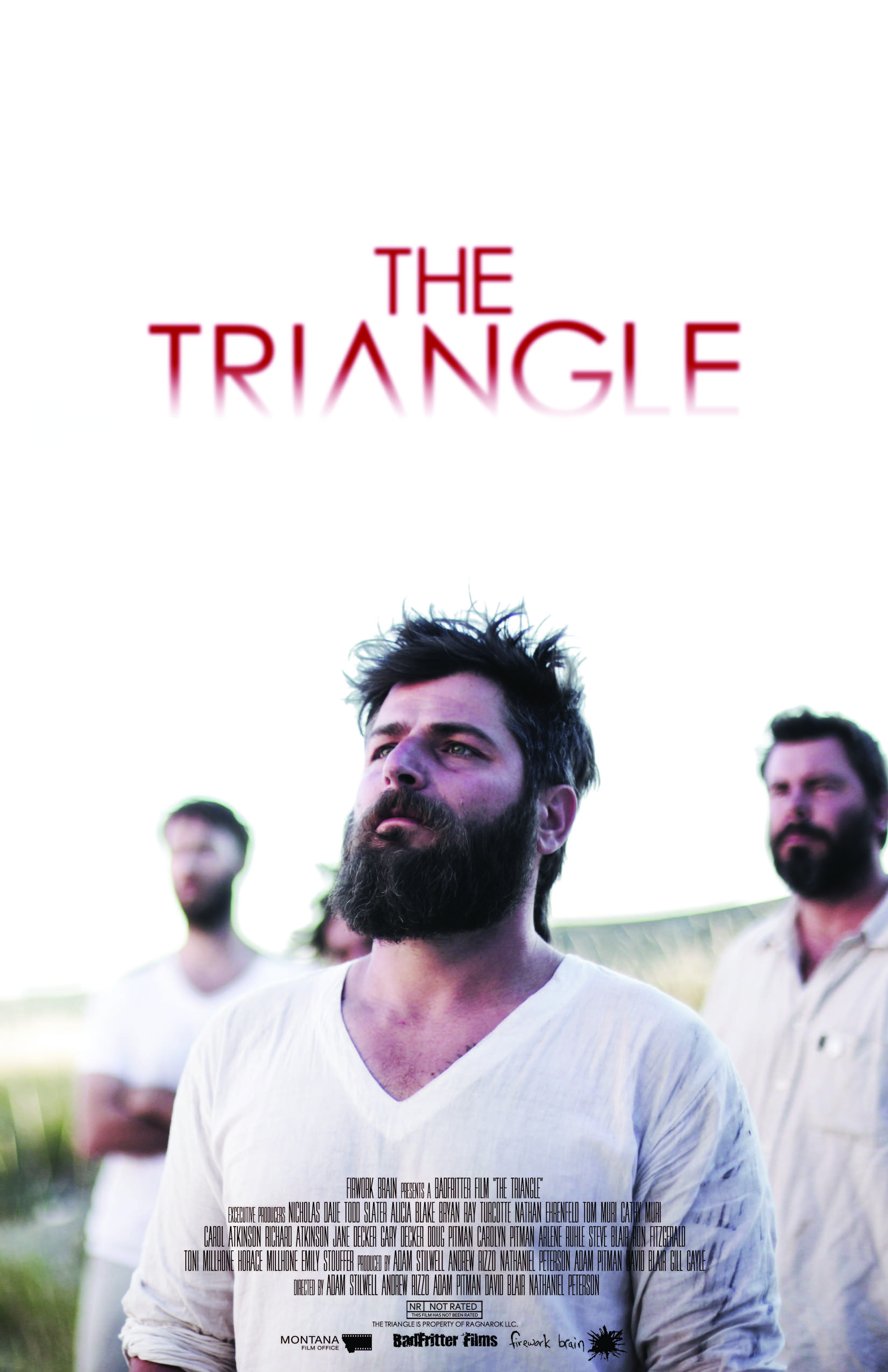 Poster of The Triangle