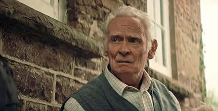 पोस्टर देखें