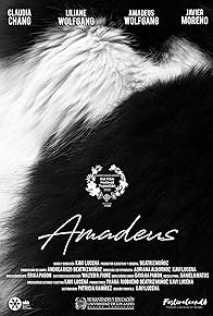Primary photo for Amadeus
