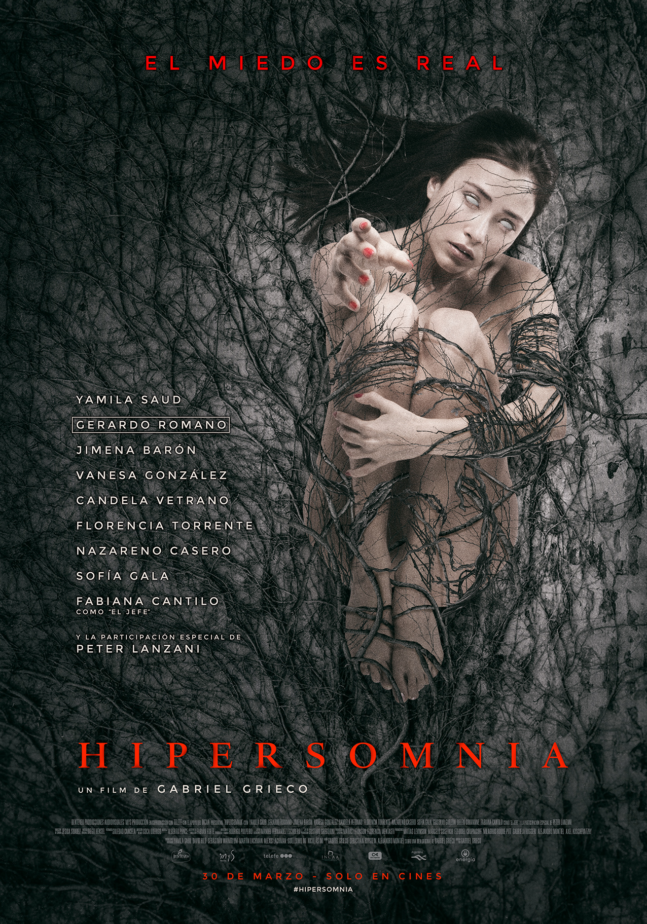 Poster of Hypersomnia