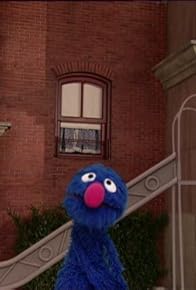 Primary photo for Big Bird's Nest Sale