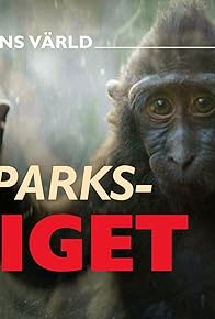 Primary photo for Djurparkskriget