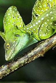 Primary photo for Top Shots
