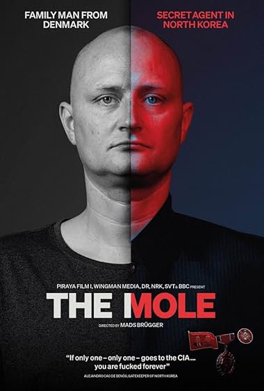 The Mole: Undercover in North Korea 2020 movie poster - watch and download free