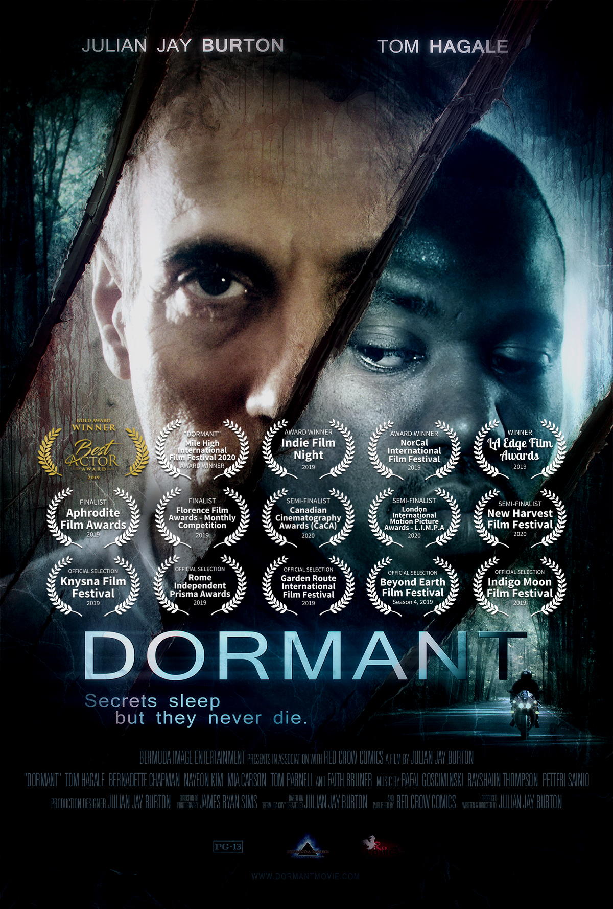Poster of Dormant
