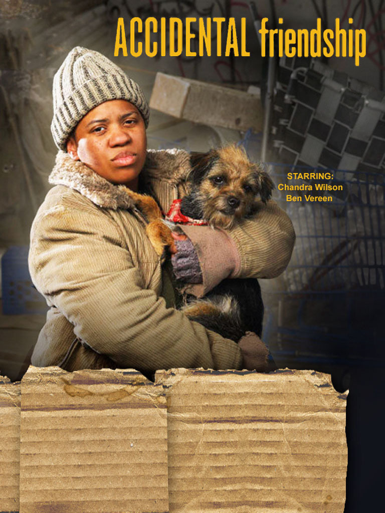 Poster of Accidental Friendship