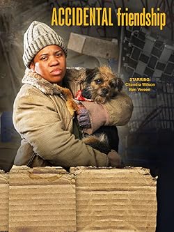 Poster of Accidental Friendship