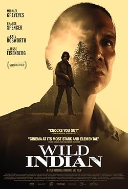 Poster of Wild Indian