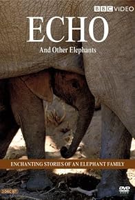 Primary photo for Echo of the Elephants