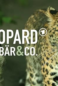Primary photo for Leopard, Seebär & Co. Minis - Spezial