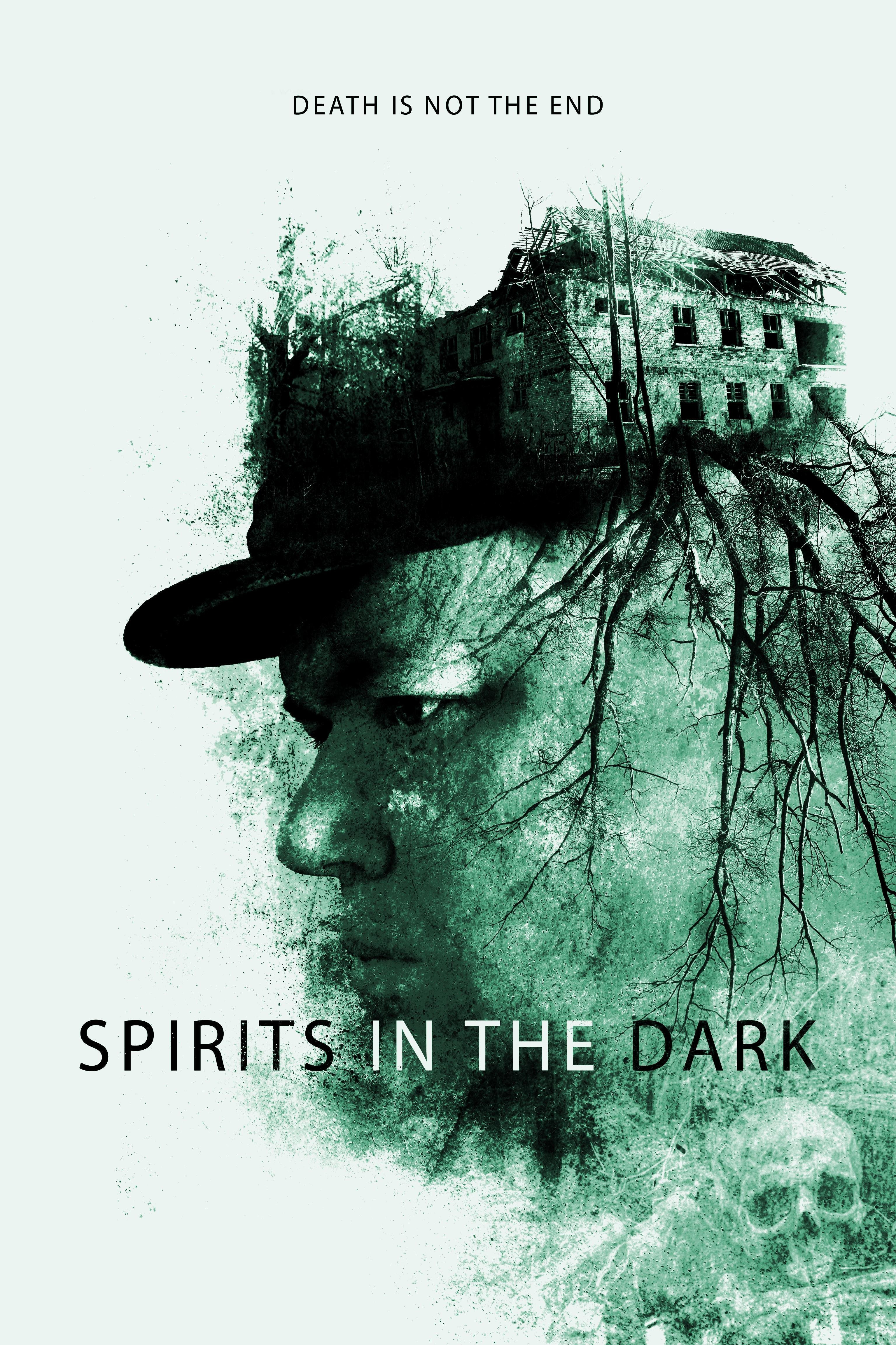 Poster of Spirits in the Dark