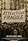 Attention, fragile's primary photo