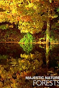 Primary photo for Forests