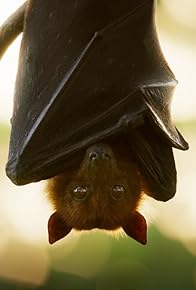 Primary photo for Sexy Beasts