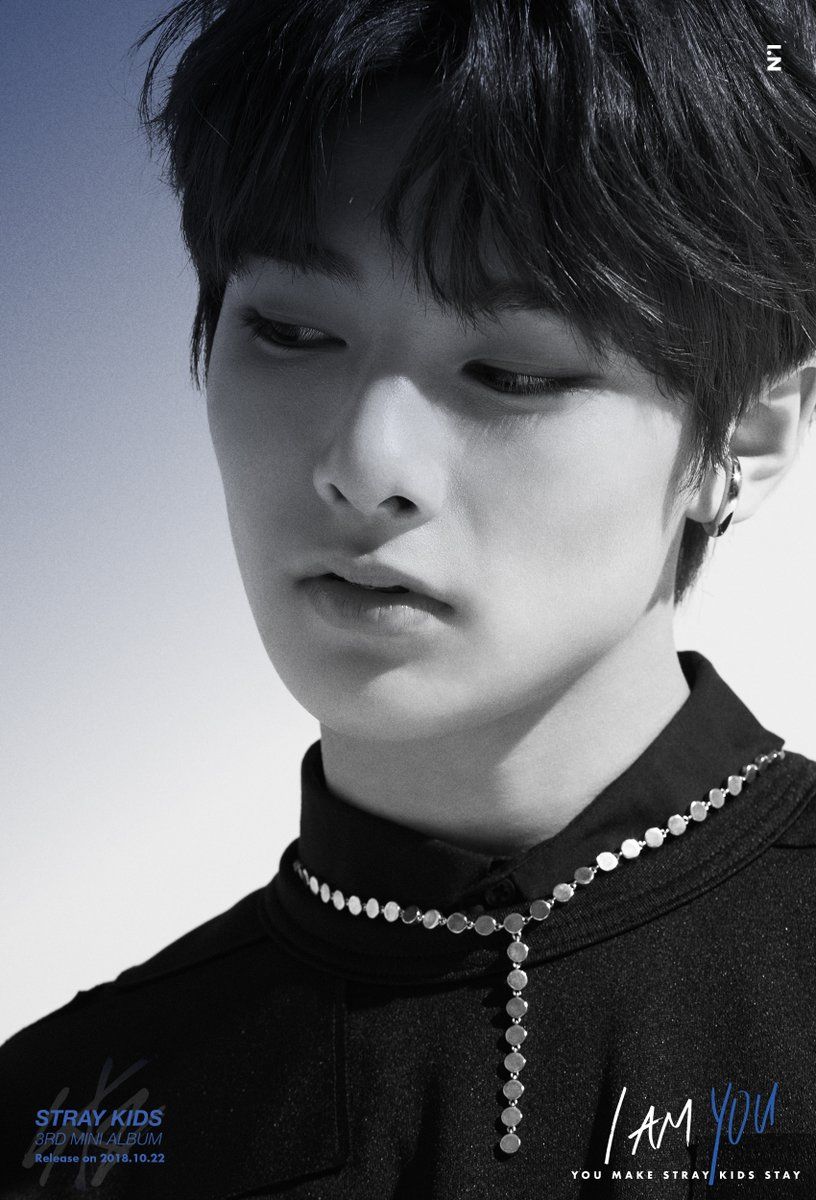 Straykids I AM YOU 名札 アイエン ジョンイン I.N Straykids I AM YOU 名札 アイエン ジョンイン I.N Straykids I