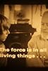 Primary photo for Star Wars Primary photo for Star Wars