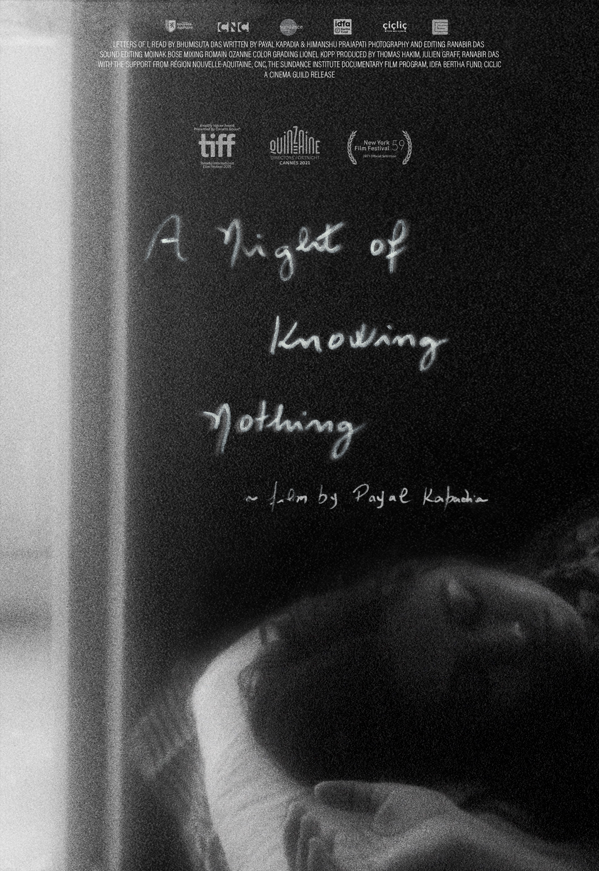 Poster of A Night of Knowing Nothing