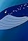 All's Whale That Ends Whale's primary photo